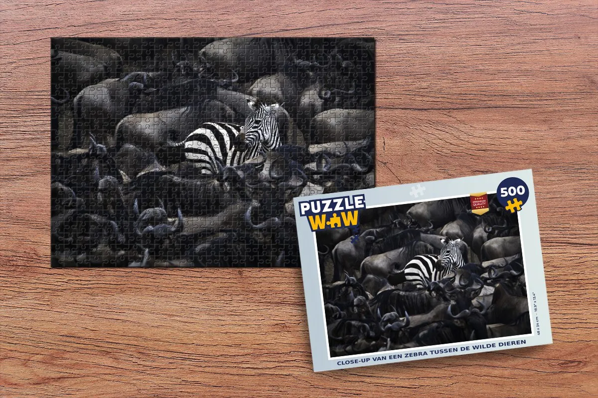 PuzzleWow Zebra Legpuzzel 500 Stuks - Multicolor