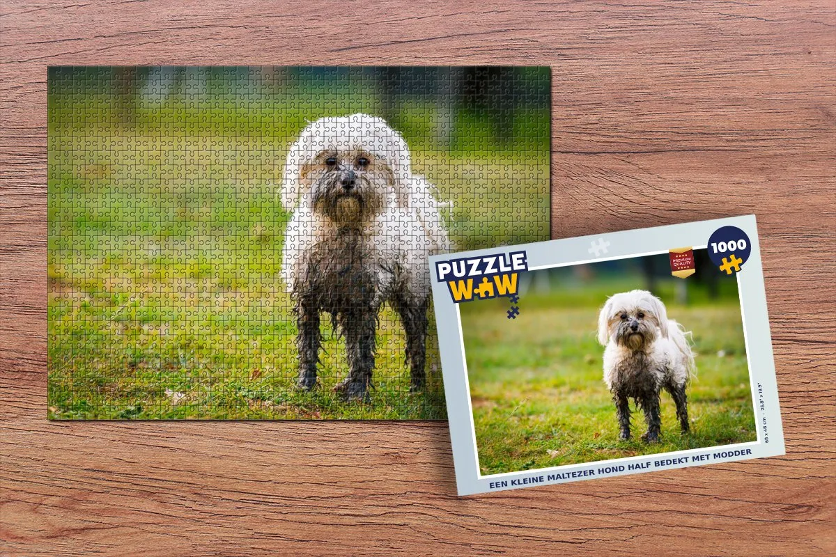 PuzzleWow Legpuzzel Maltezer Hond Modder 1000 Stuks - Multicolor