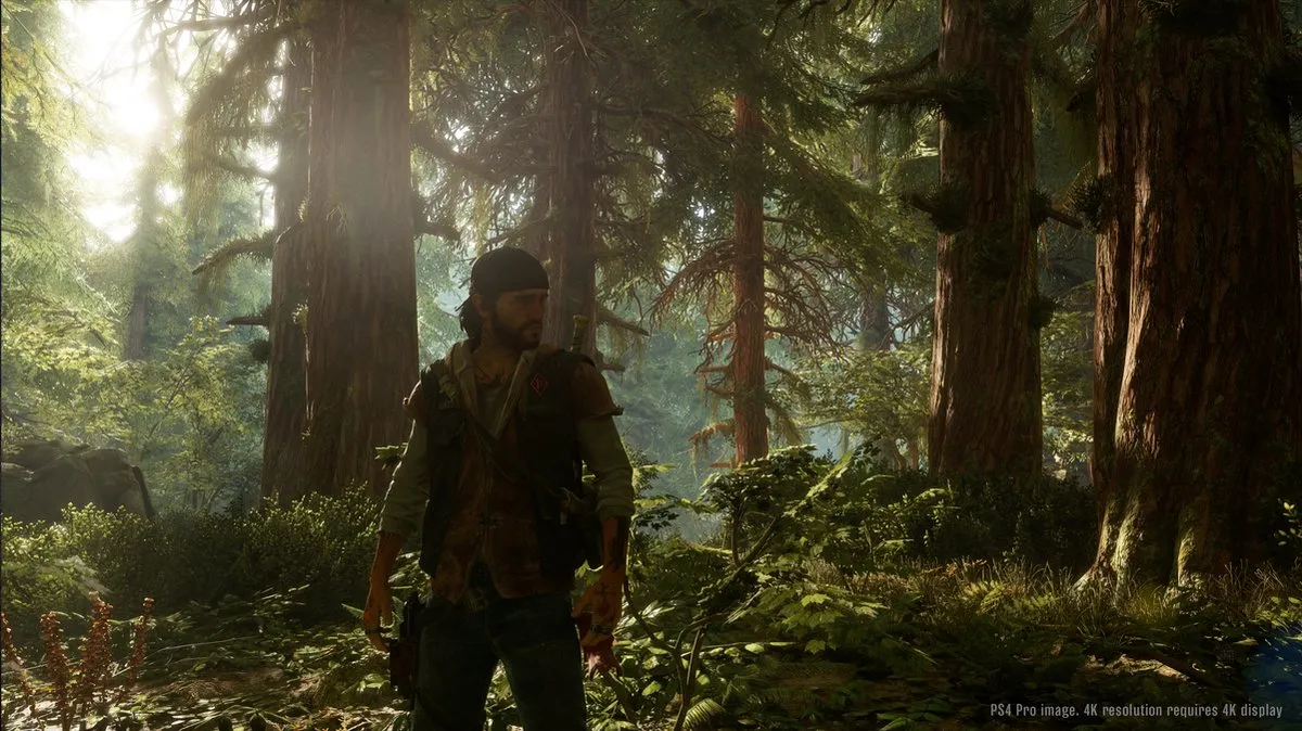 Sony PlayStation Days Gone - PS4