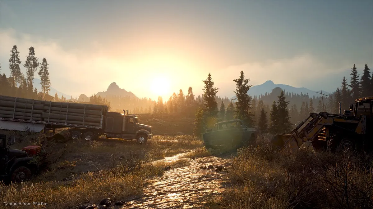 Sony PlayStation Days Gone - PS4 - afbeelding 6 van 9