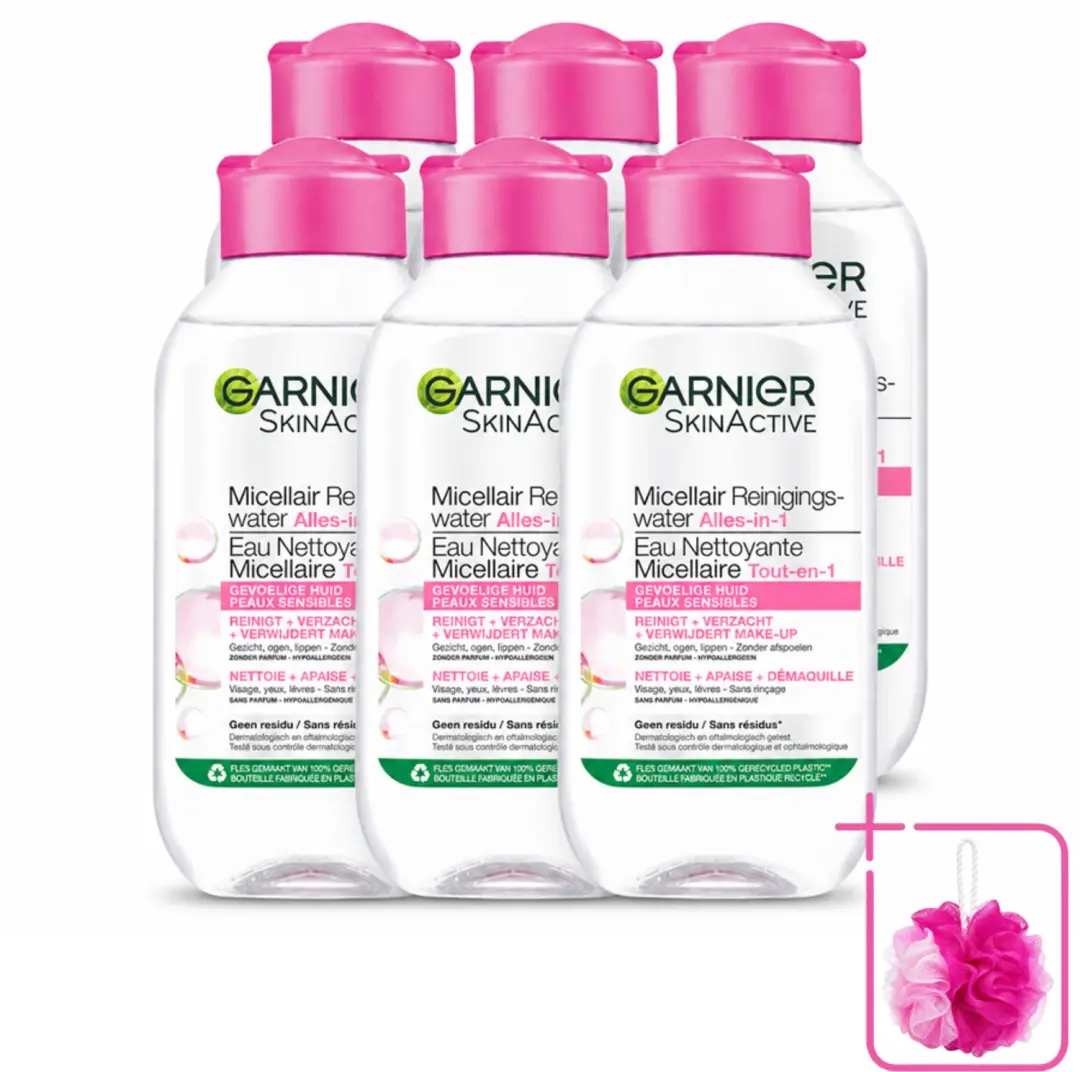 6 x Garnier