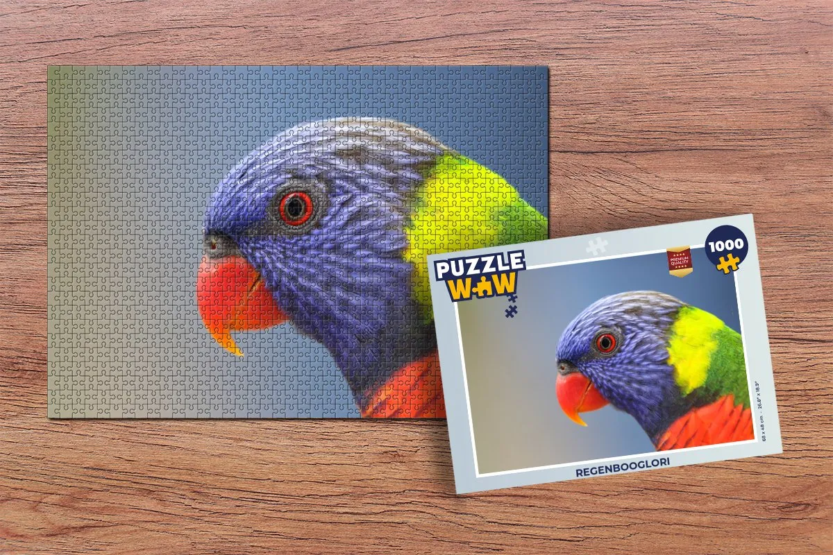 PuzzleWow Regenbooglori Legpuzzel 1000 Stuks - Multicolor
