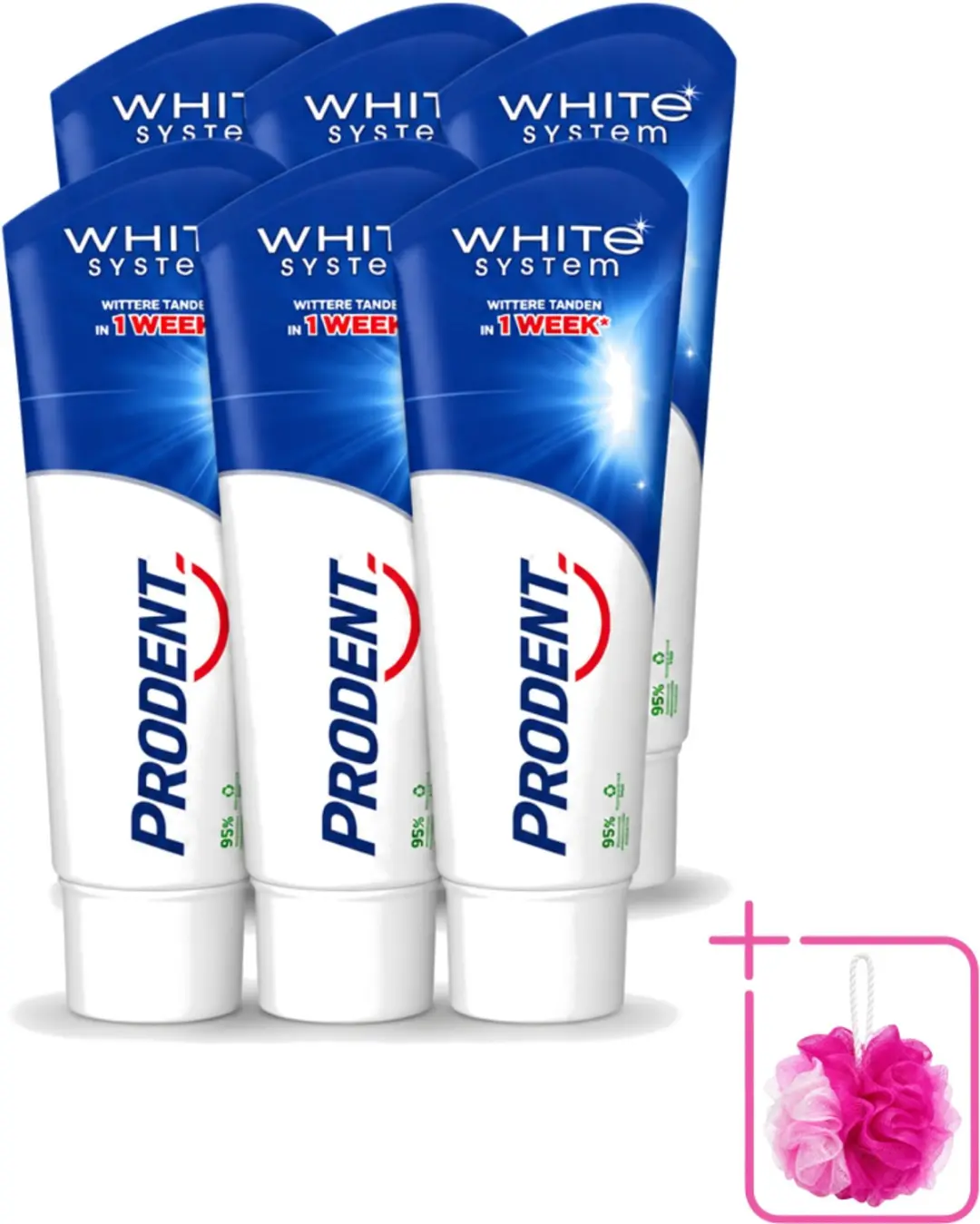 6 x Prodent