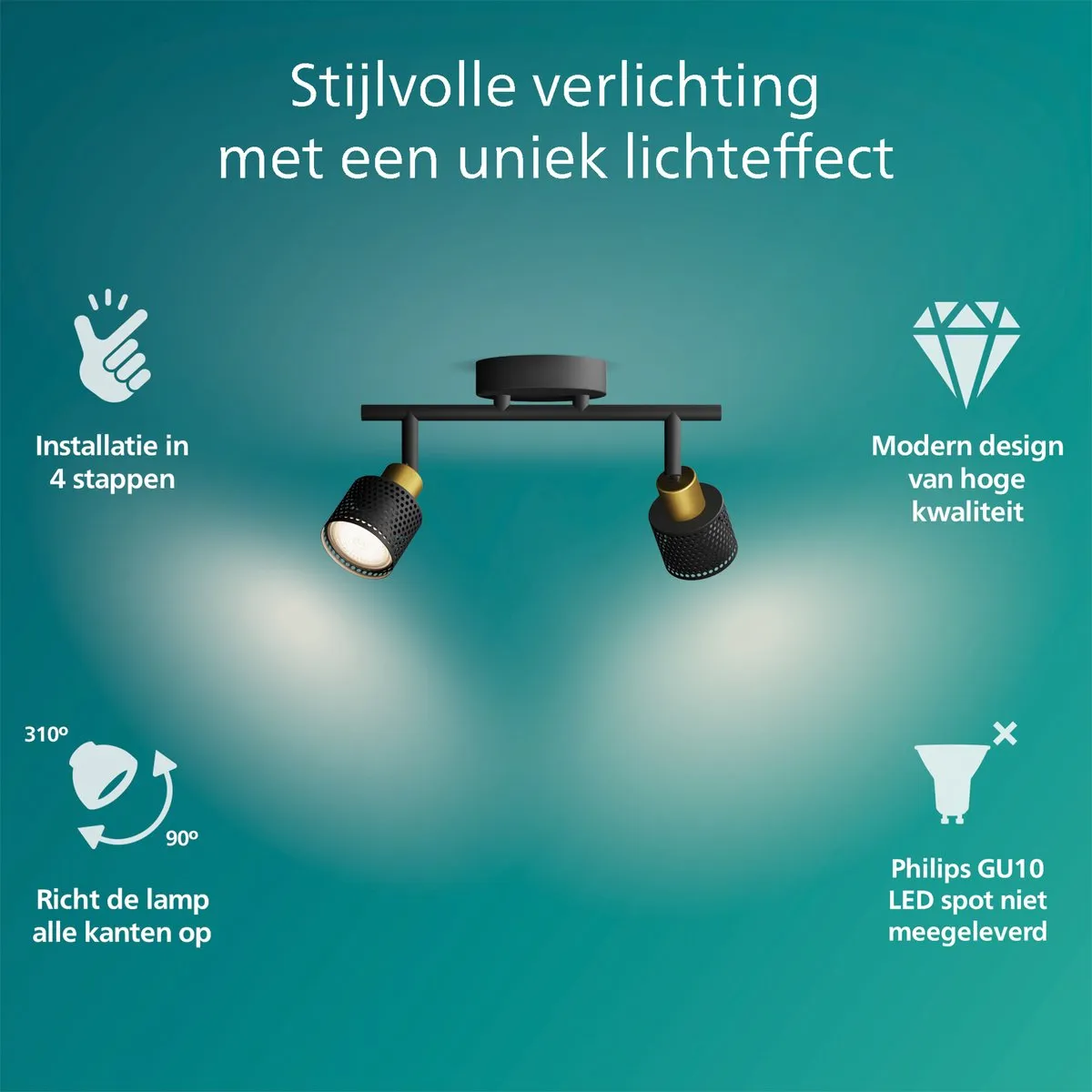 Philips Niall Spot Plafondspot 2x5W - Zwart/Messing
