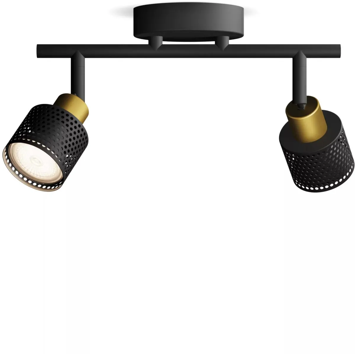 Philips Niall Spot Plafondspot 2x5W - Zwart/Messing