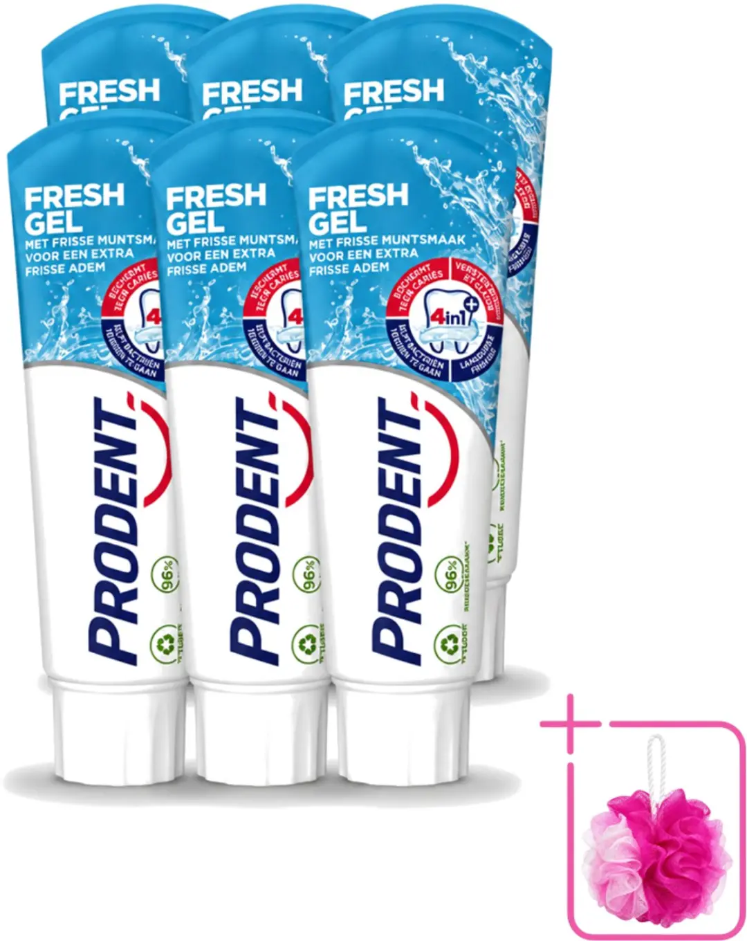 6 x Prodent