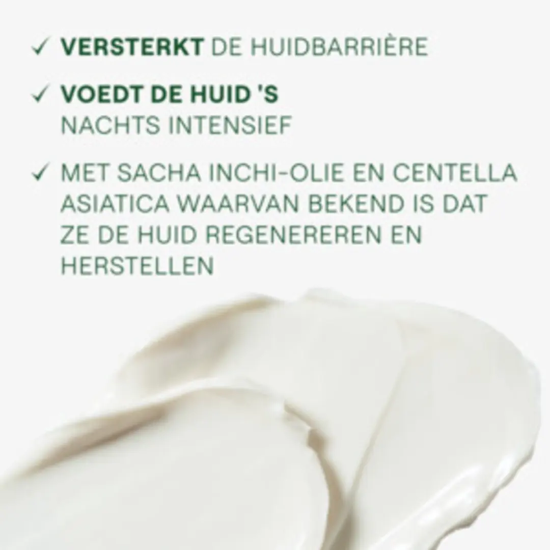 Weleda Skin Food Nachtcrème 40ml - 3 Stuks - afbeelding 3 van 5