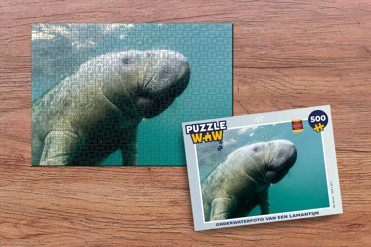 PuzzleWow Dieren Water Camera Legpuzzel 500 Stuks - Multicolor
