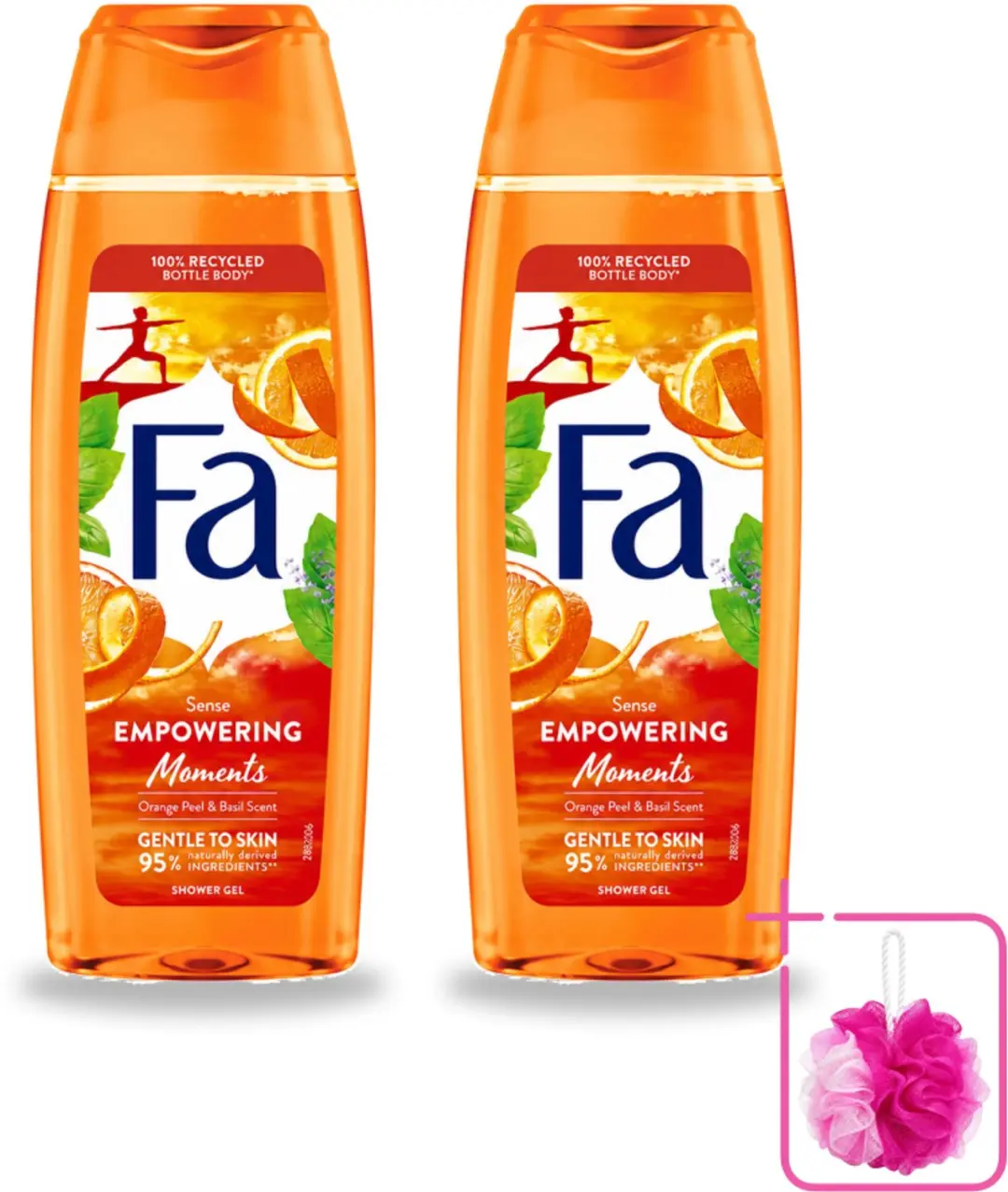 2 x Fa
