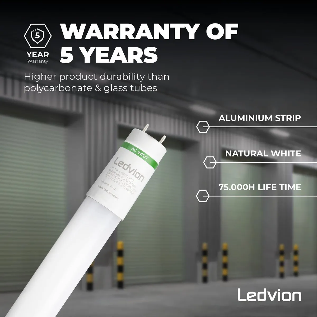 LEDVION 8X TL Buis 60cm 6.3W 6500K - 8 Stuks