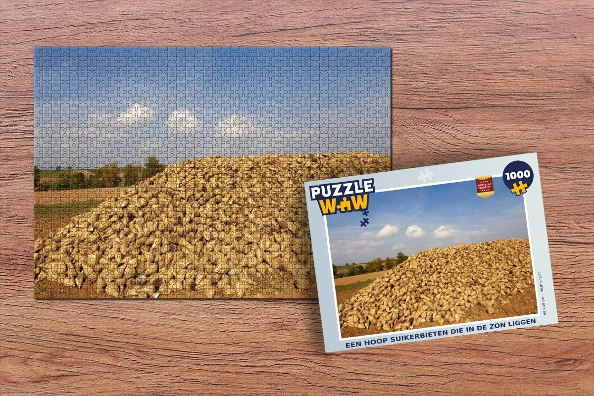 PuzzleWow Legpuzzel 1000 Stuks - Multicolor