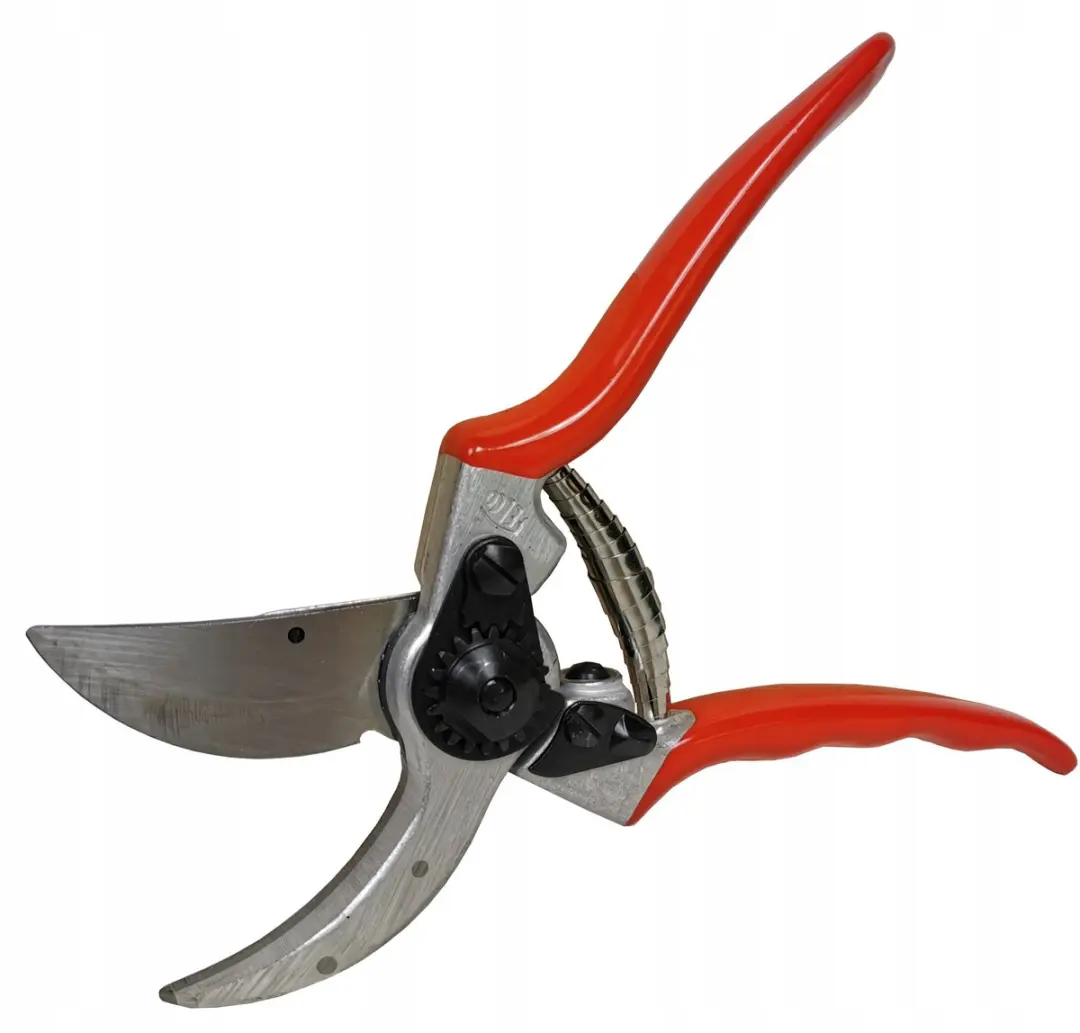 Felco 2 Professionele Snoeischaar