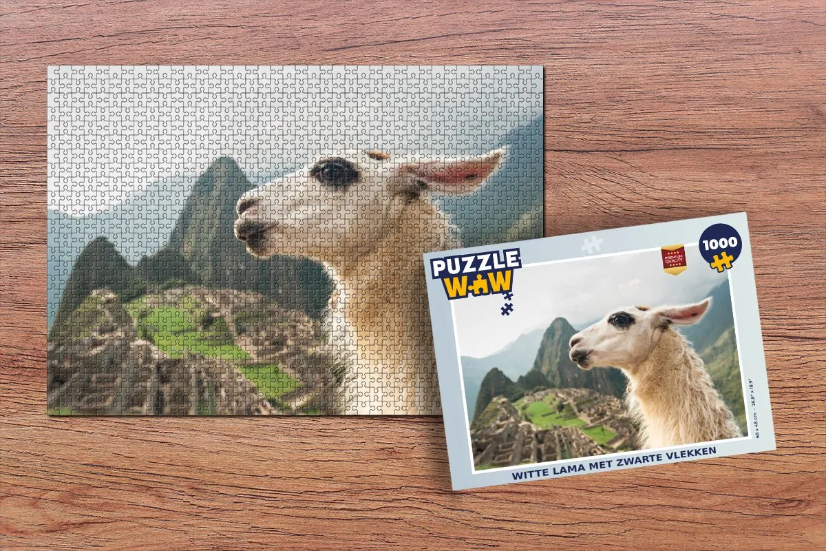 PuzzleWow Machu Picchu Legpuzzel 1000 Stuks - Multicolor
