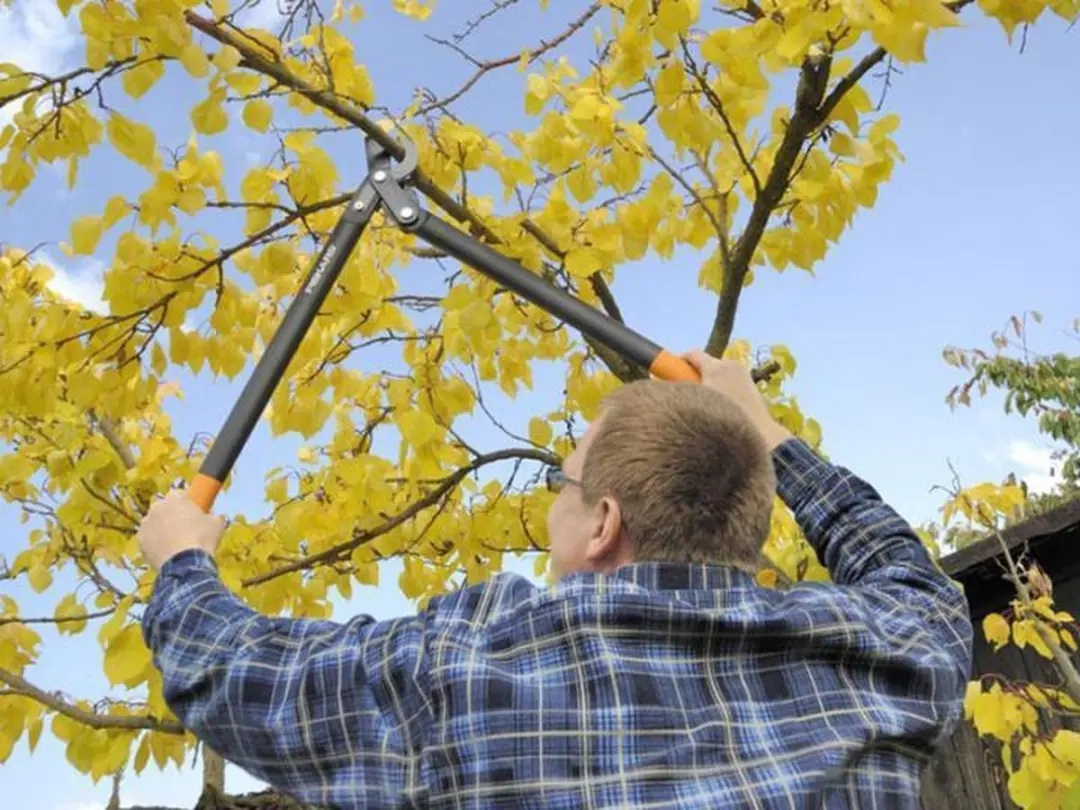 Fiskars Powergear II Takkenschaar 58cm - Ø28mm - afbeelding 4 van 6