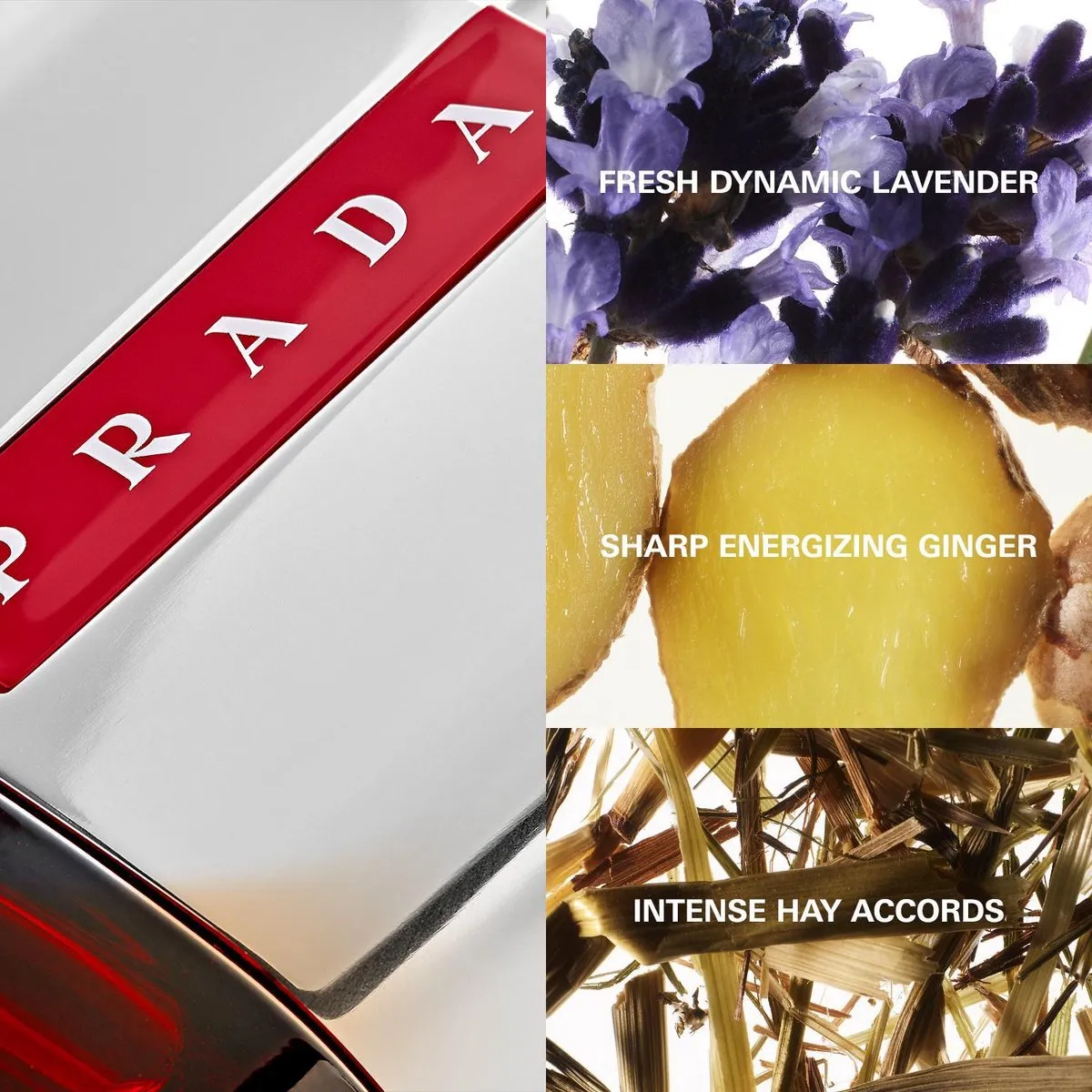 Prada Luna Rossa Sport Eau de Toilette - 50ml