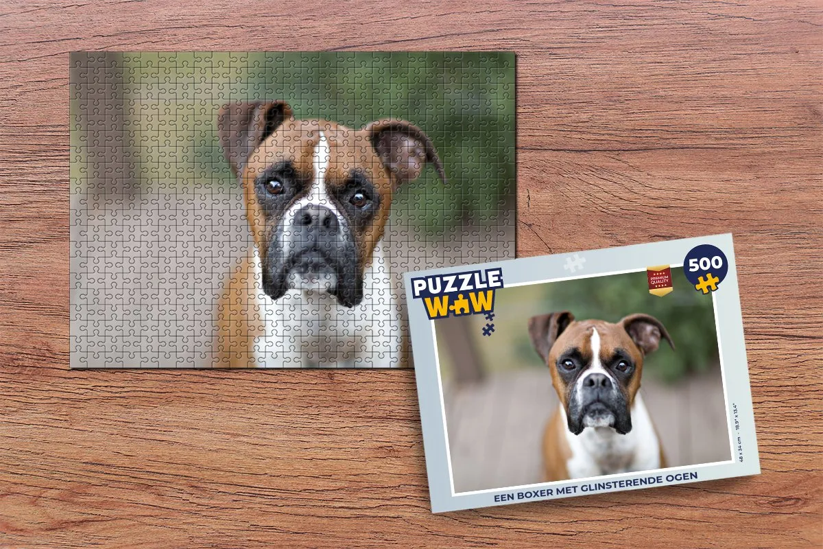 PuzzleWow Legpuzzel Een Boxer met glinsterende ogen 500 Stuks - Multicolor