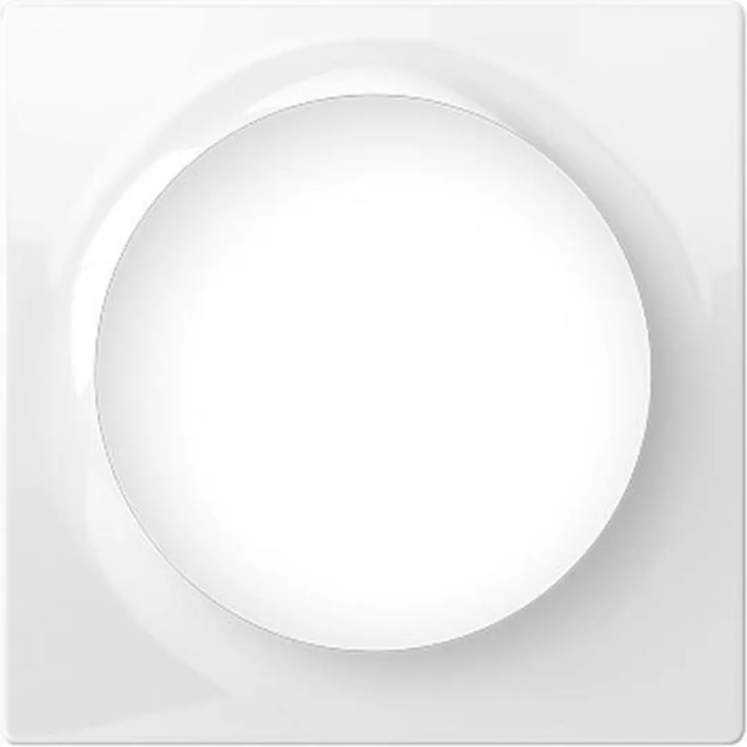 Fibaro Walli Afdekraam