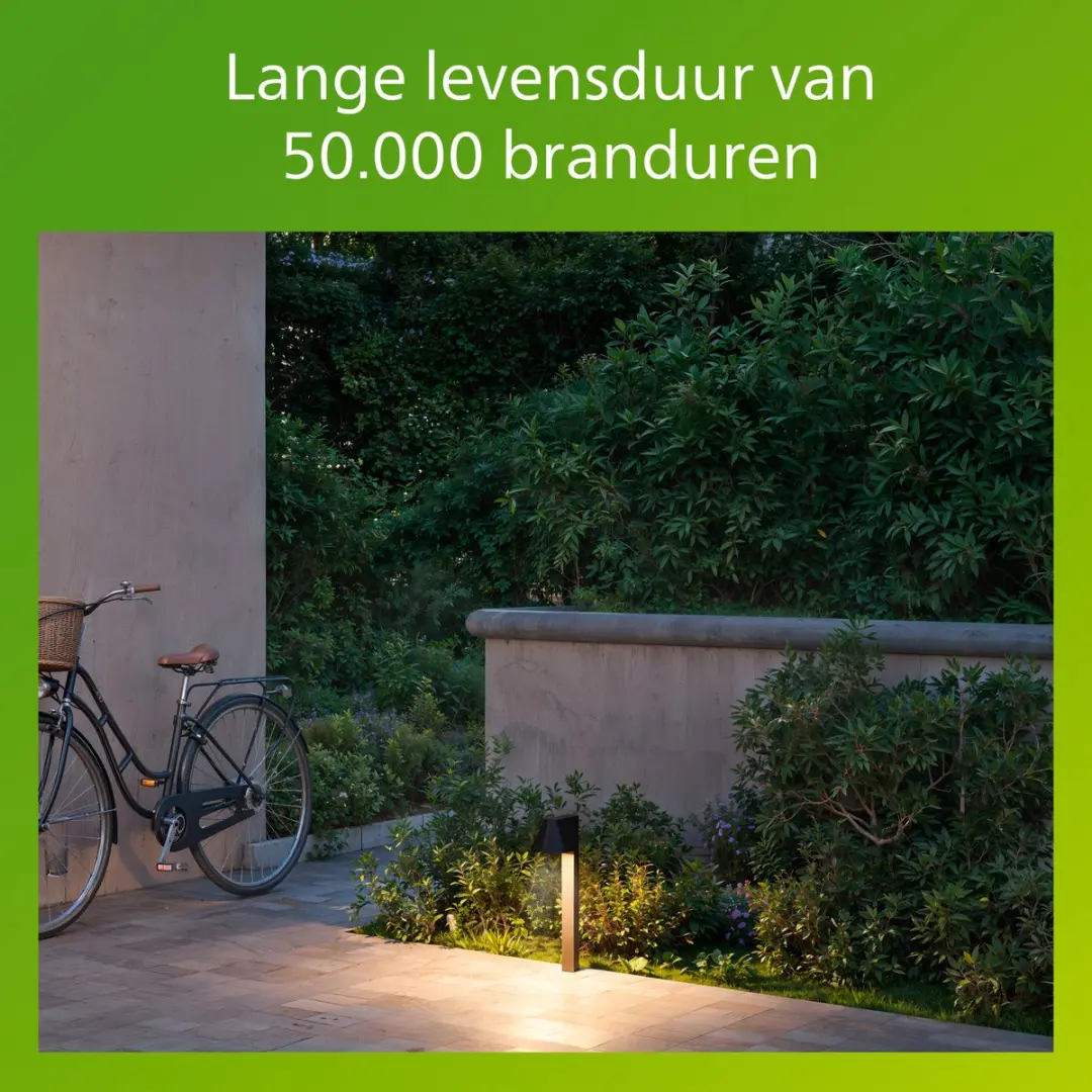 Philips Voltan UltraEfficient Sokkellamp 4.3W - Zwart - afbeelding 4 van 6
