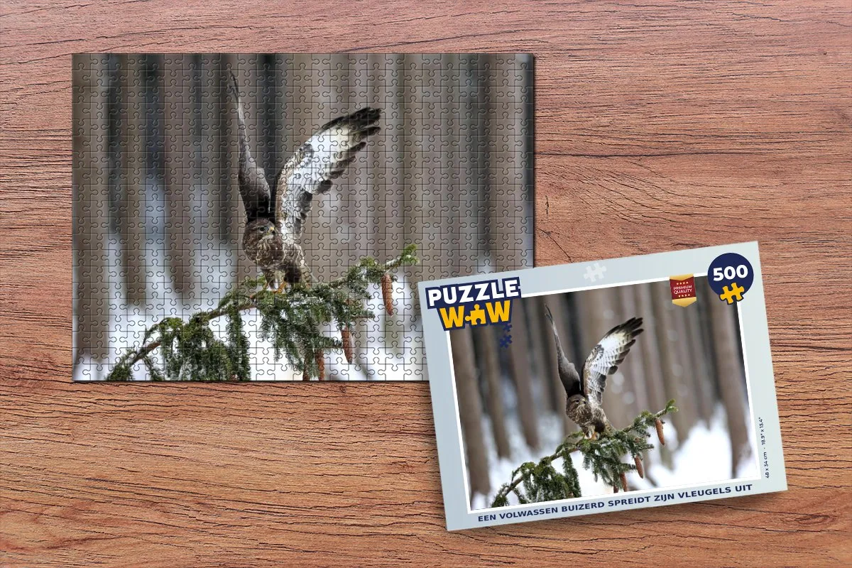 PuzzleWow Legpuzzel Een volwassen buizerd 500 Stuks - Multicolor