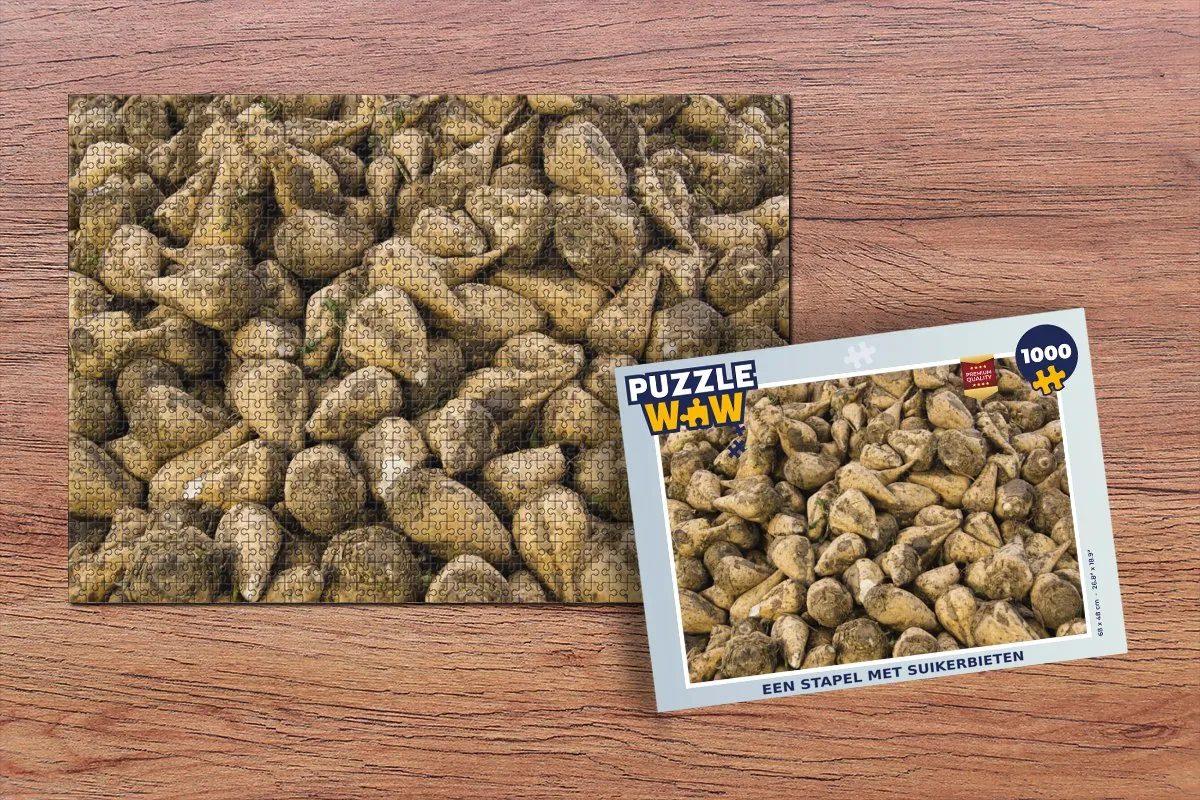 PuzzleWow Legpuzzel 1000 Stuks Multicolor