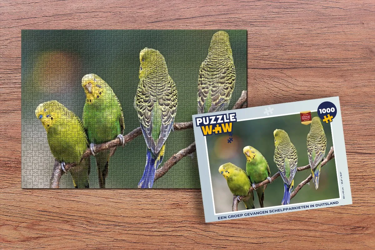PuzzleWow Legpuzzel 1000 Stuks Multicolor