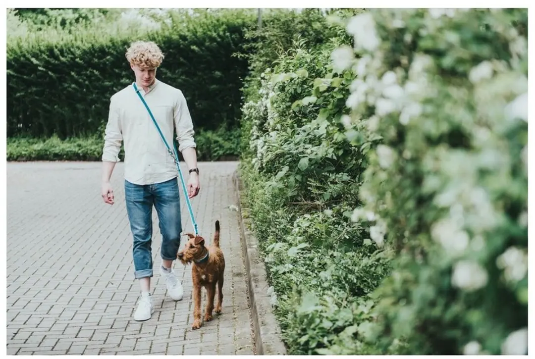 Hunter HILO Hondenriem 200cm - Antraciet
