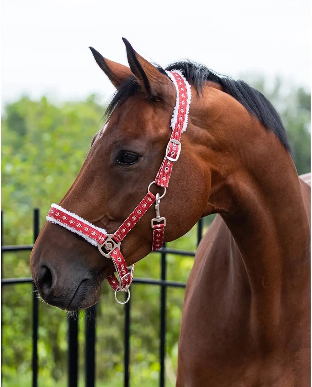 QHP Halster Kerst Rudolph Pony - afbeelding 2 van 3