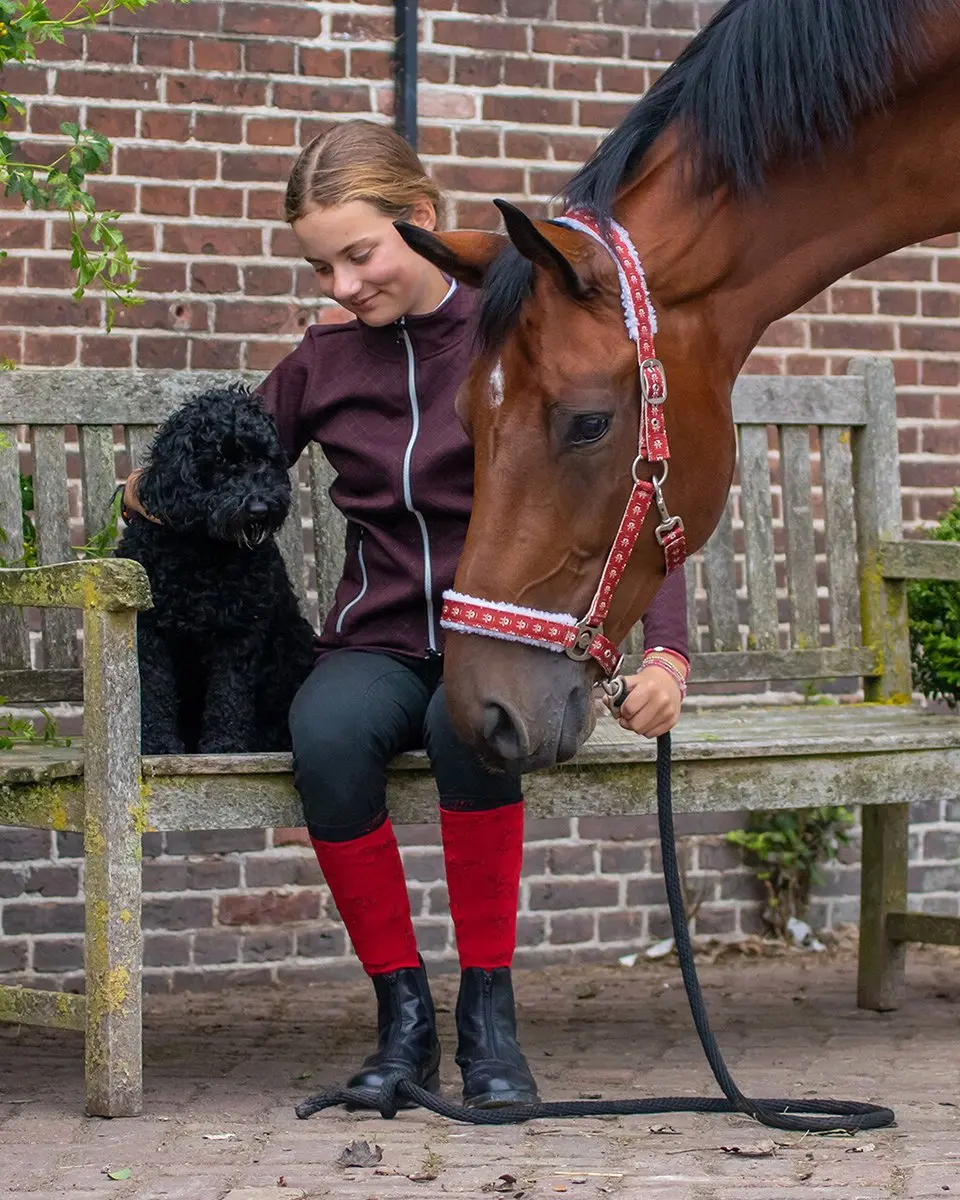 QHP Halster Kerst Rudolph Rood - afbeelding 3 van 3