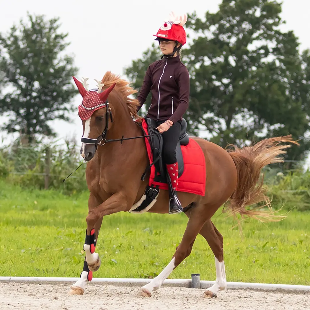 QHP Kerst Rudolph Oornetje - Pony - Rood - afbeelding 5 van 6