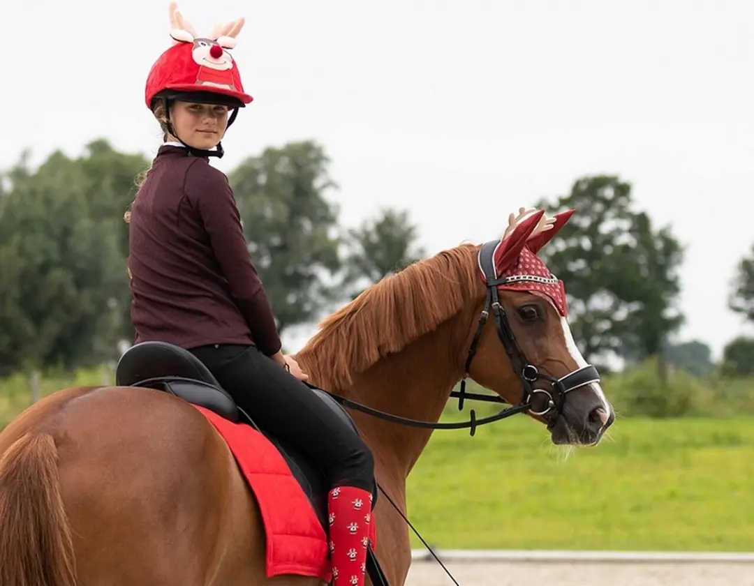 QHP Kerst Rudolph Oornetje - Pony - Rood - afbeelding 3 van 6