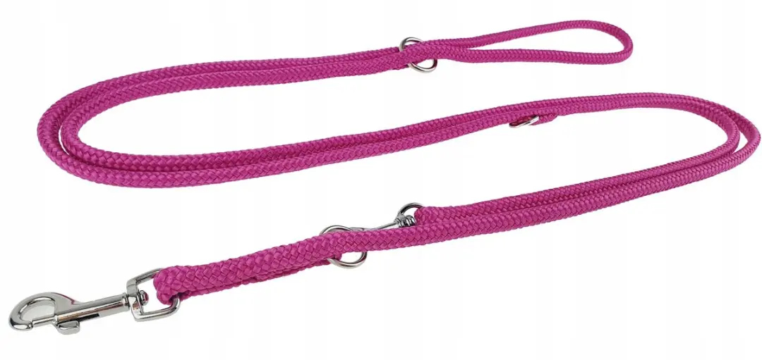 Champion Verstelbare Hondenlijn 2,5m/0,6cm