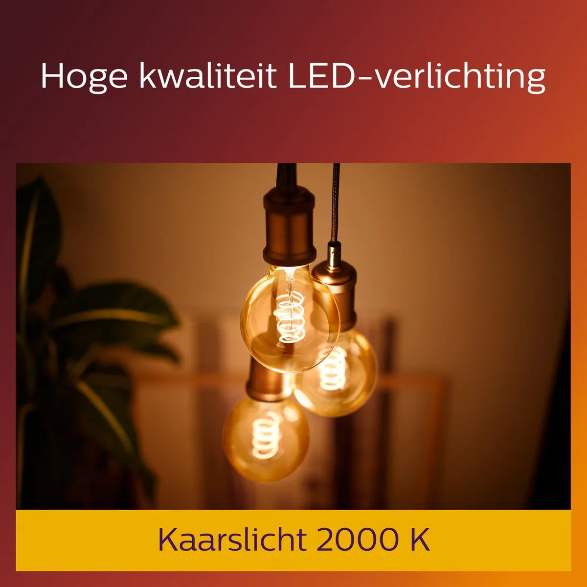 Philips LED Globe Spiraal Goud 25W E27 - Warm wit