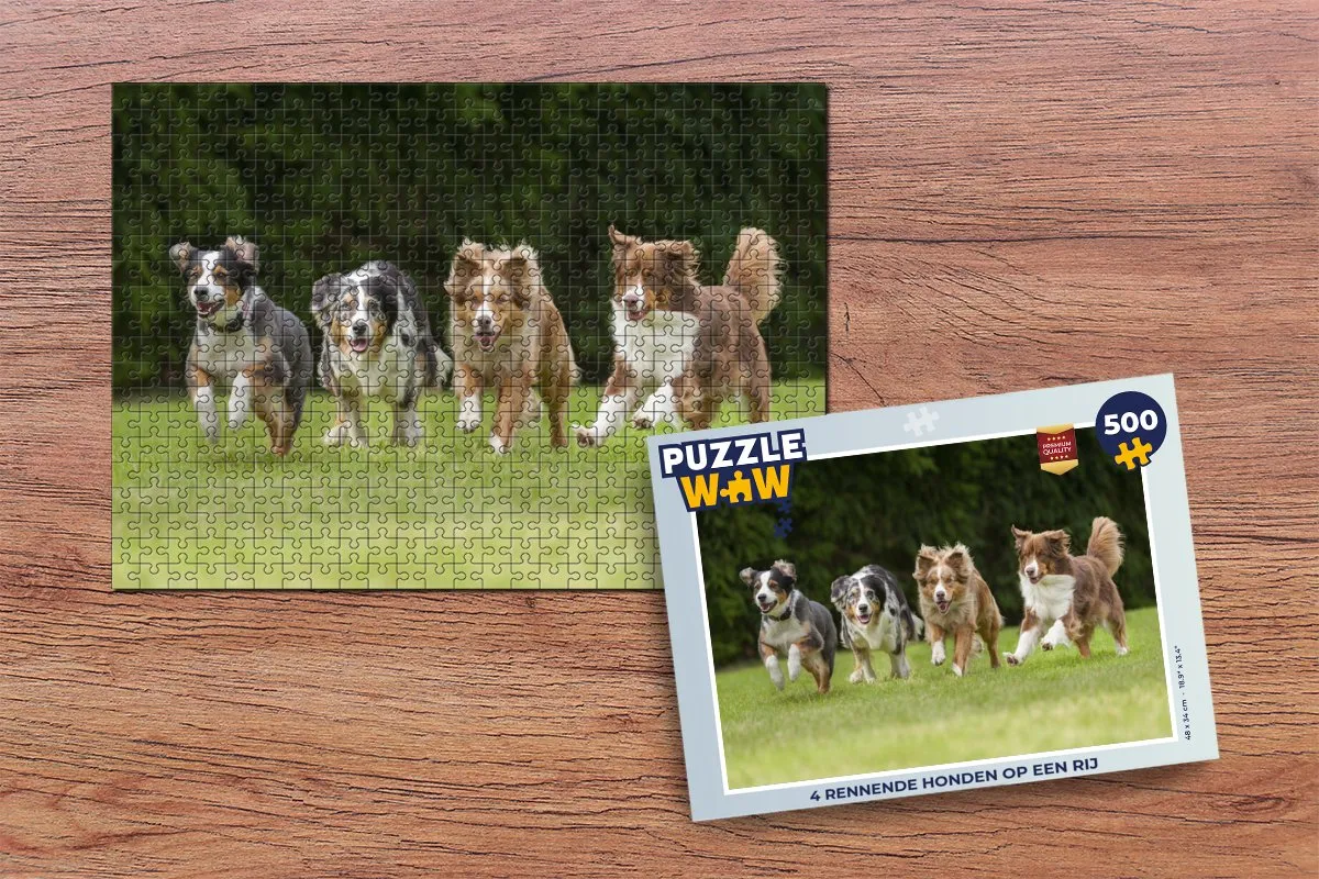 PuzzleWow Legpuzzel 500 Stuks 6017551296213 - Multicolor