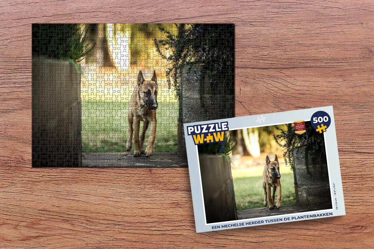 PuzzleWow Legpuzzel 500 Stuks - Mechelse Herder Multicolor