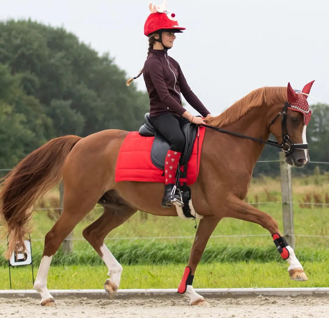 QHP Kniekous Kerst Elf/Rudolph - Set van 2 - Maat 39-42 - afbeelding 2 van 6