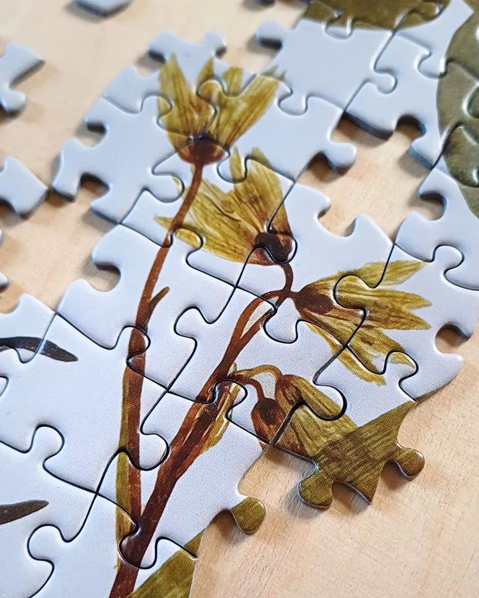 Tactic Puzzel My Herbarium 1000 Delen - Wit