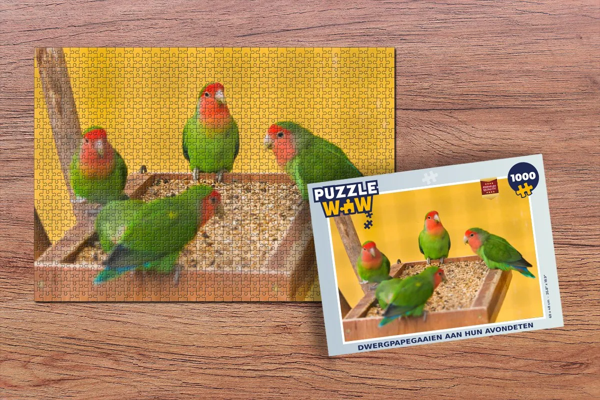 PuzzleWow Legpuzzel 1000 Stuks - Multicolor