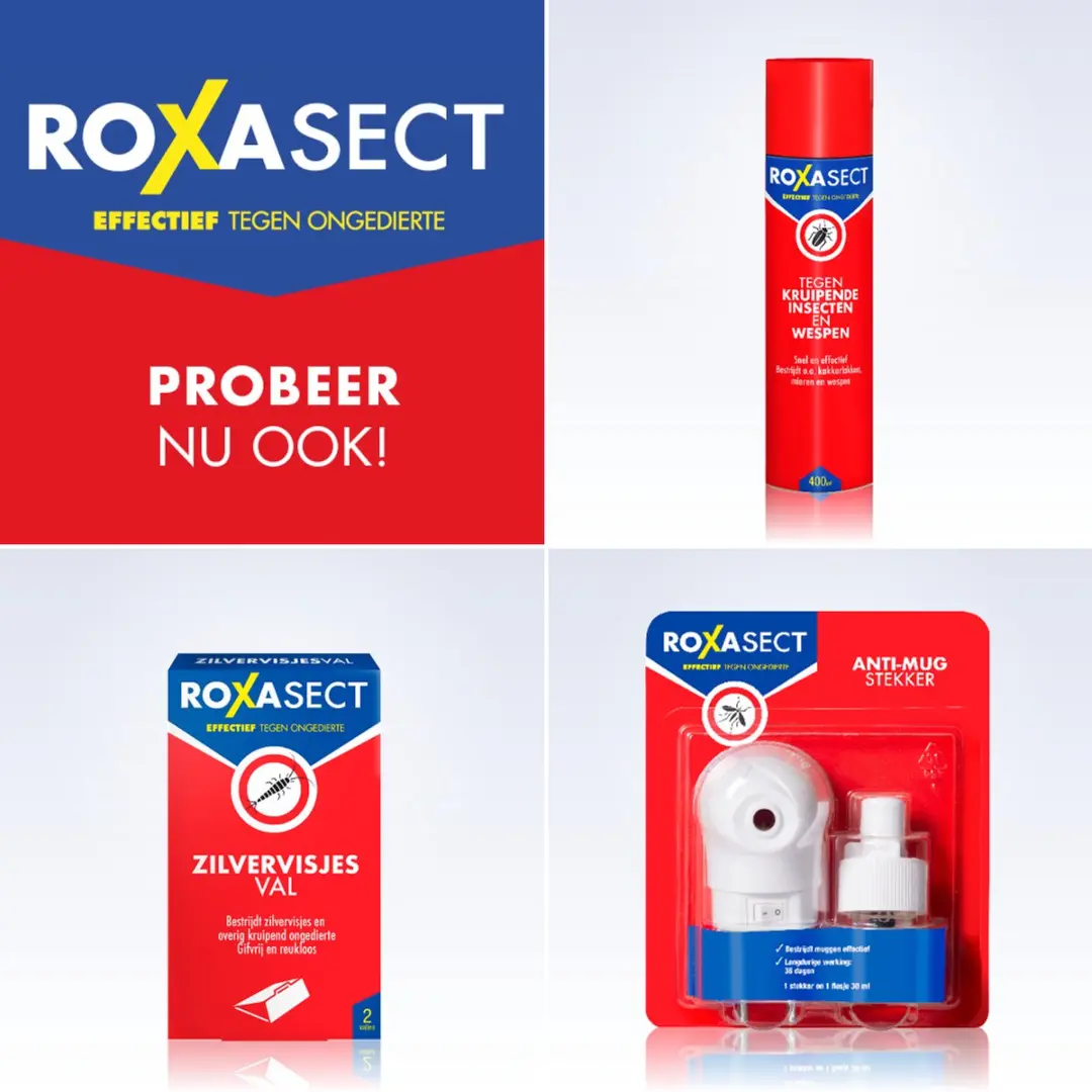 Roxasect Vliegenspray 400ml - afbeelding 5 van 6