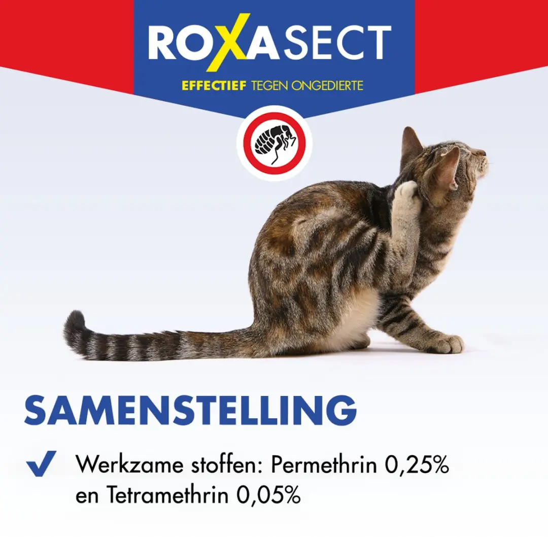 Roxasect Vlooienspray 300ml - afbeelding 6 van 6