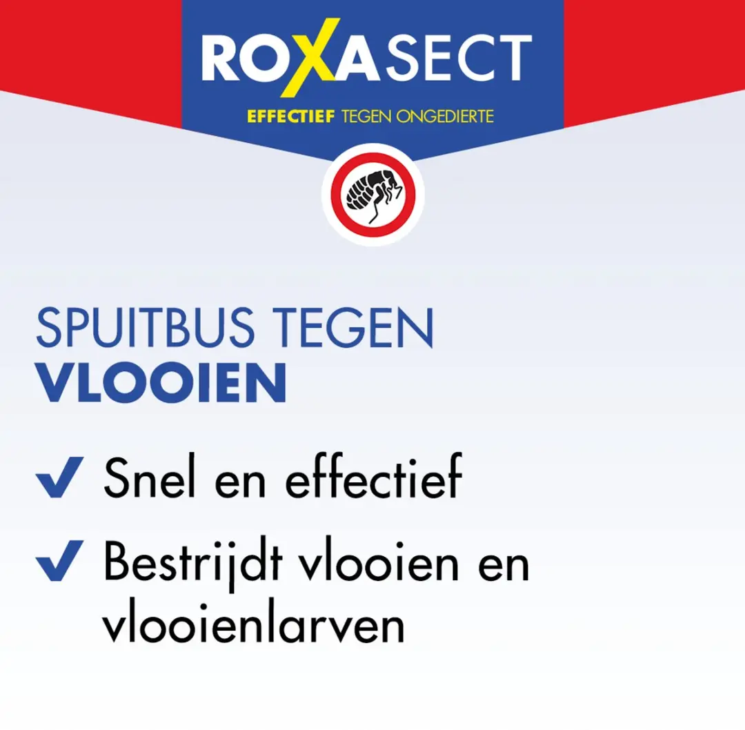 Roxasect Vlooienspray 300ml - afbeelding 5 van 6