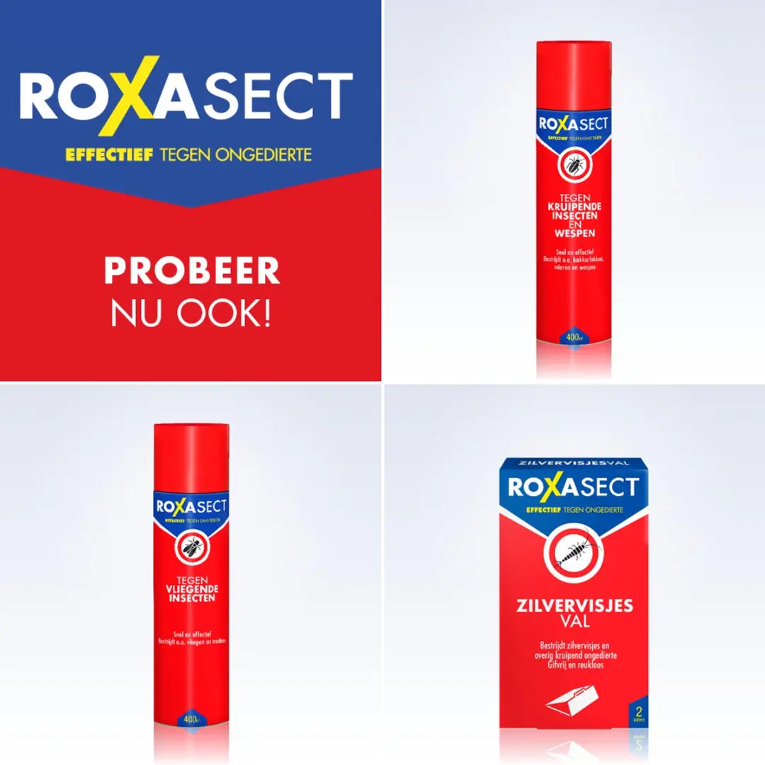 Roxasect Vlooienspray 300ml - afbeelding 3 van 6