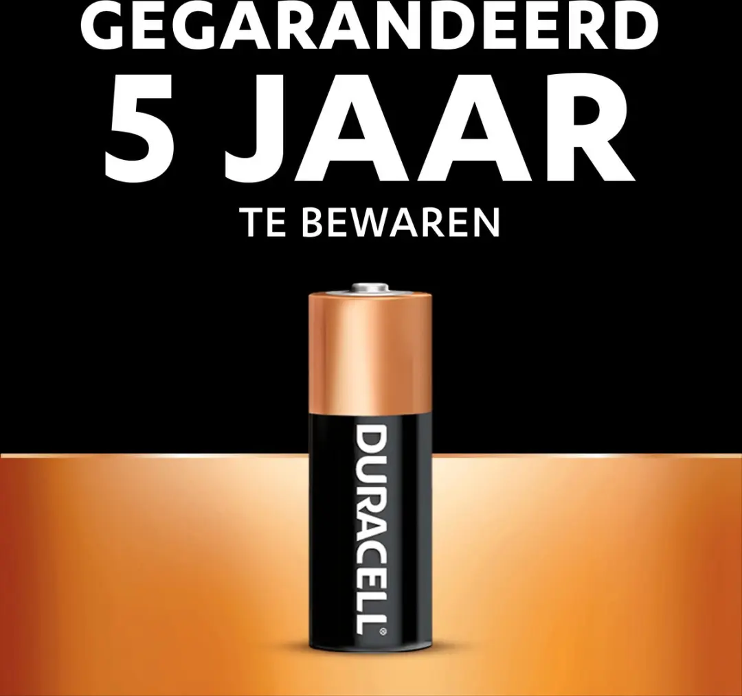 Duracell MN21 Alkaline Batterij 12V - 2 Stuks