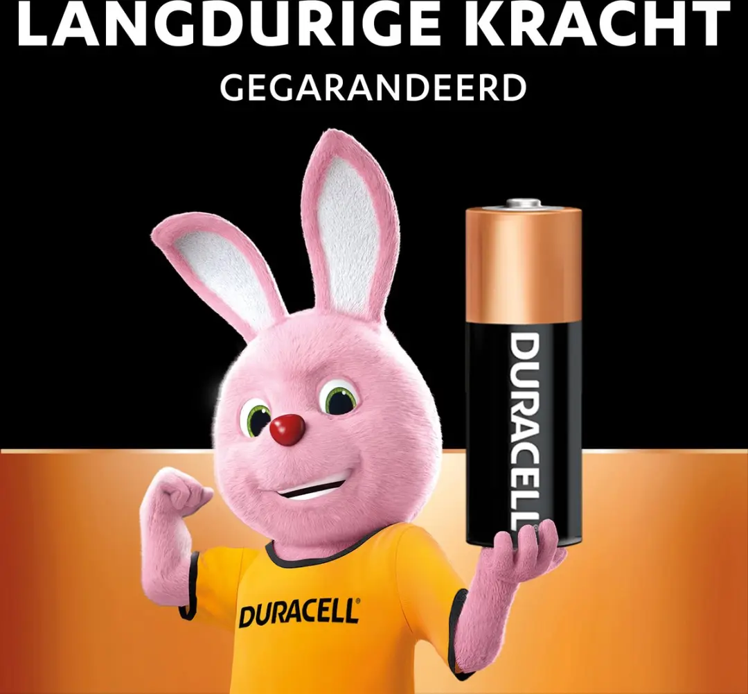 Duracell MN21 Alkaline Batterij 12V - 2 Stuks