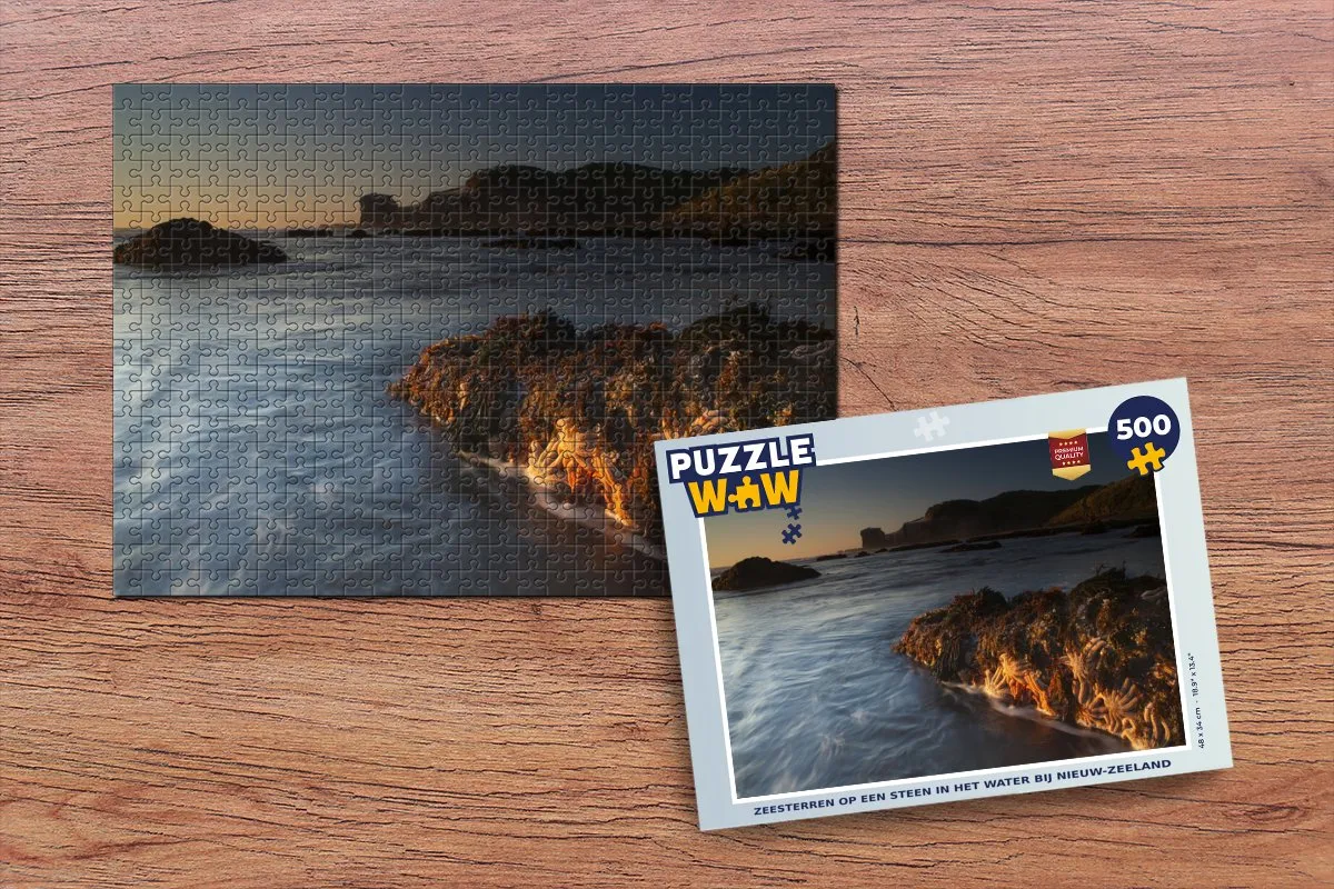 PuzzleWow Legpuzzel Zeesterren op een steen 500 Stuks - Multicolor