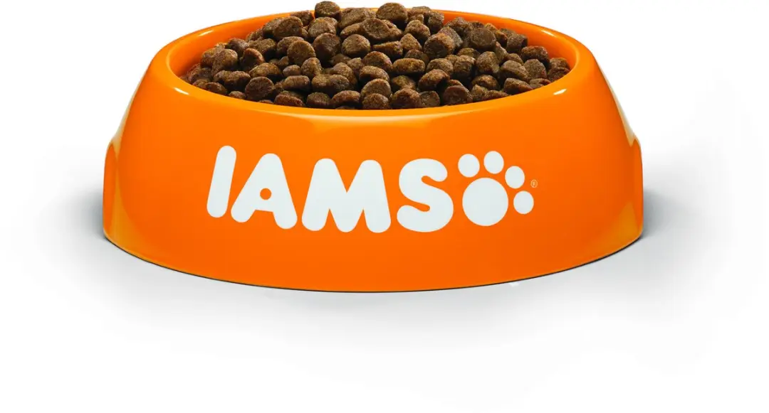 Iams Kitten & Junior Kip Kattenvoer 3kg