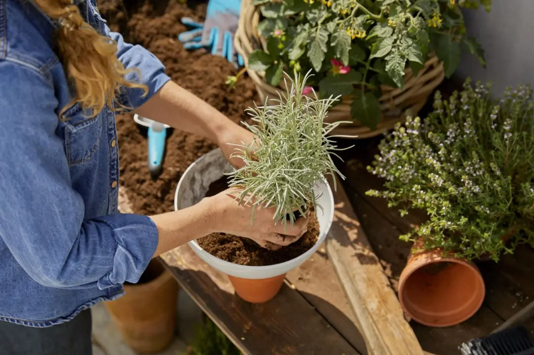 Gardena ClickUp! Plantenbak 25cm - Wit - afbeelding 4 van 6