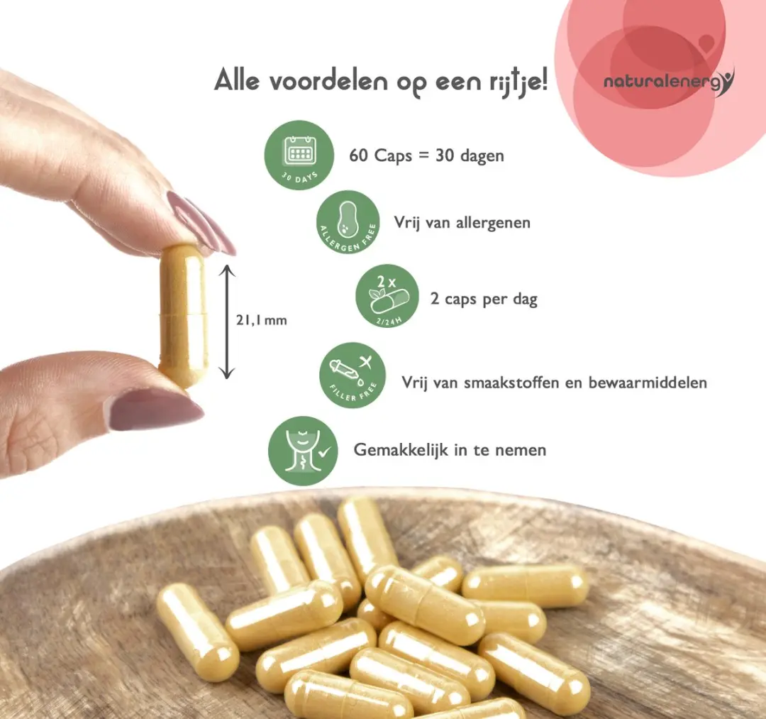 Natural Energy Hepudrain 60 Vegan Capsules - Vitamines B6, B9, B12 & Foliumzuur