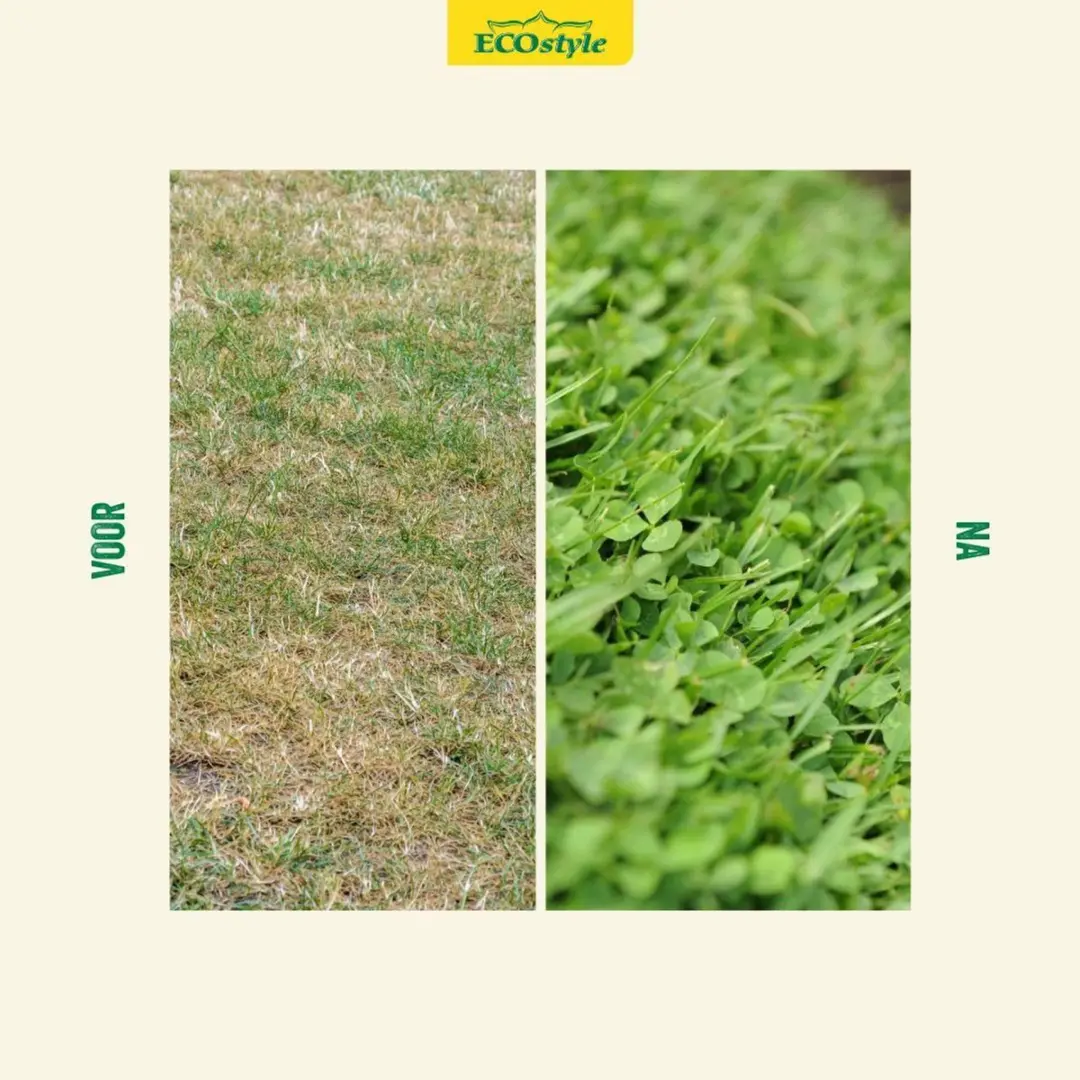 ECOstyle AZstyle Graszaad met Microklaver 1kg - 50m² - afbeelding 3 van 6