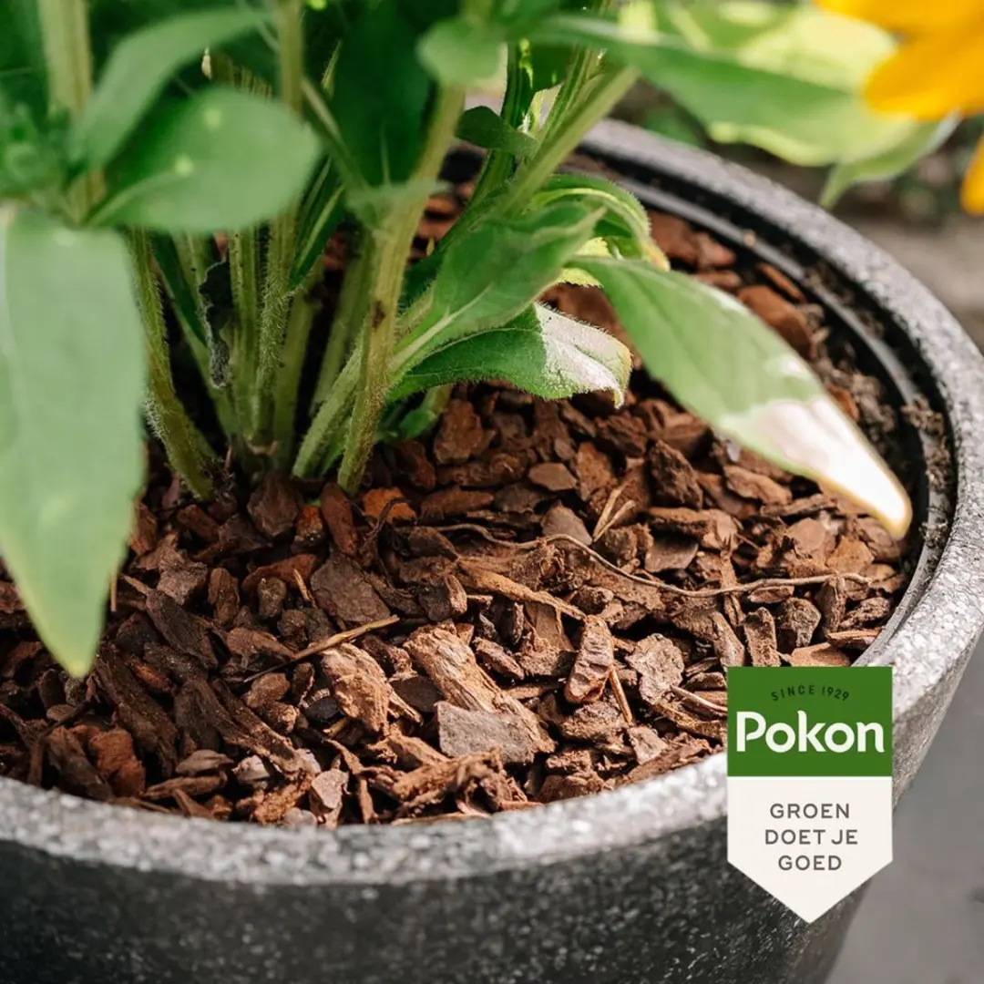 Pokon Boomschors Excellent 10L - afbeelding 3 van 5