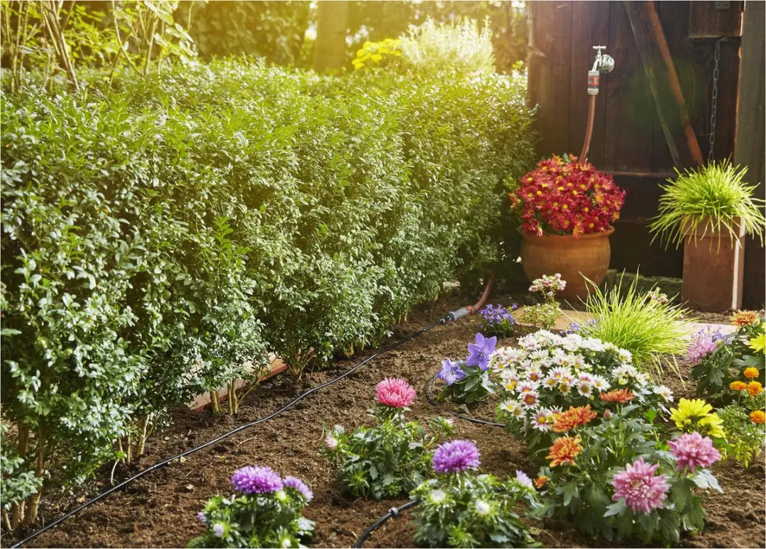 Gardena Micro Drip System Startset - 15m Druppelsysteem - 15 Planten - afbeelding 3 van 6